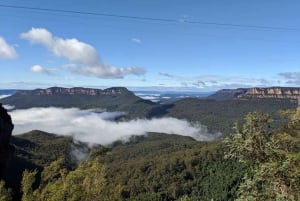 Fra Sydney: Blue Mountains privat tur med dyrepark