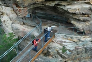 Fra Sydney: Blue Mountains privat tur med dyrepark