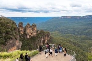 Från Sydney: Blue Mountains, Scenic Railway och Sydney Zoo