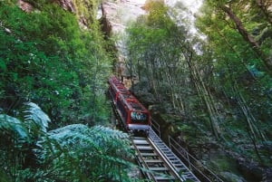 Från Sydney: Blue Mountains, Scenic Railway och Sydney Zoo