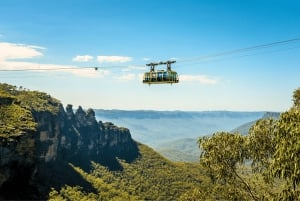 Från Sydney: Blue Mountains, Scenic Railway och Sydney Zoo