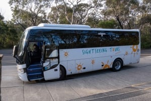 Från Sydney: Blue Mountains, Scenic Railway och Sydney Zoo