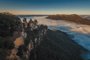 Från Sydney: Blue Mountains, Scenic Railway och Sydney Zoo