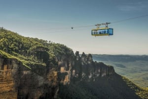 From Sydney: Blue Mountains, Scenic World & Sydney Zoo Tour