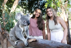 Von Sydney aus: Blue Mountains, Scenic World, Zoo und Fährenfahrt