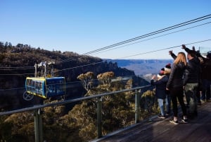 Sydneystä: Blue Mountains, Scenic World, Zoo, & Ferry Tour