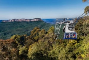 Au départ de Sydney : Montagnes bleues, Scenic World, zoo et circuit en ferry