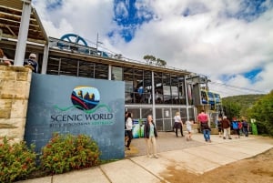 Blue Mountains, Scenic World, Zoo, & Ferry Tour