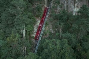 Von Sydney aus: Blue Mountains, Scenic World, Zoo und Fährenfahrt