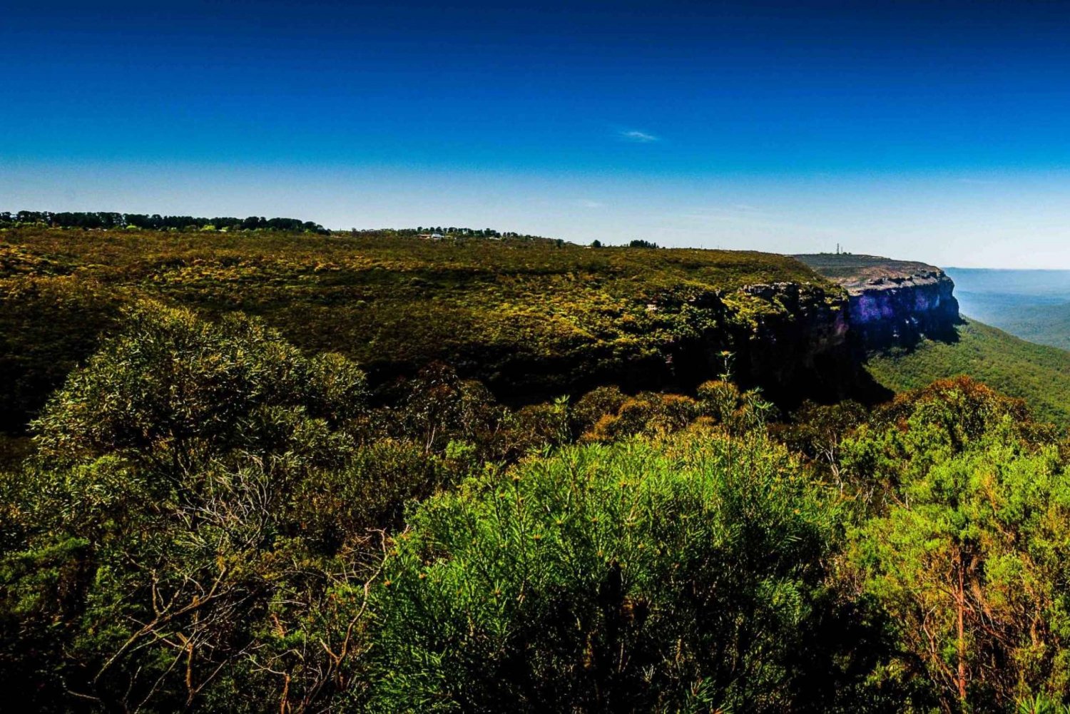 Ab Sydney: Blue Mountains - Tour, Picknick & Wandern