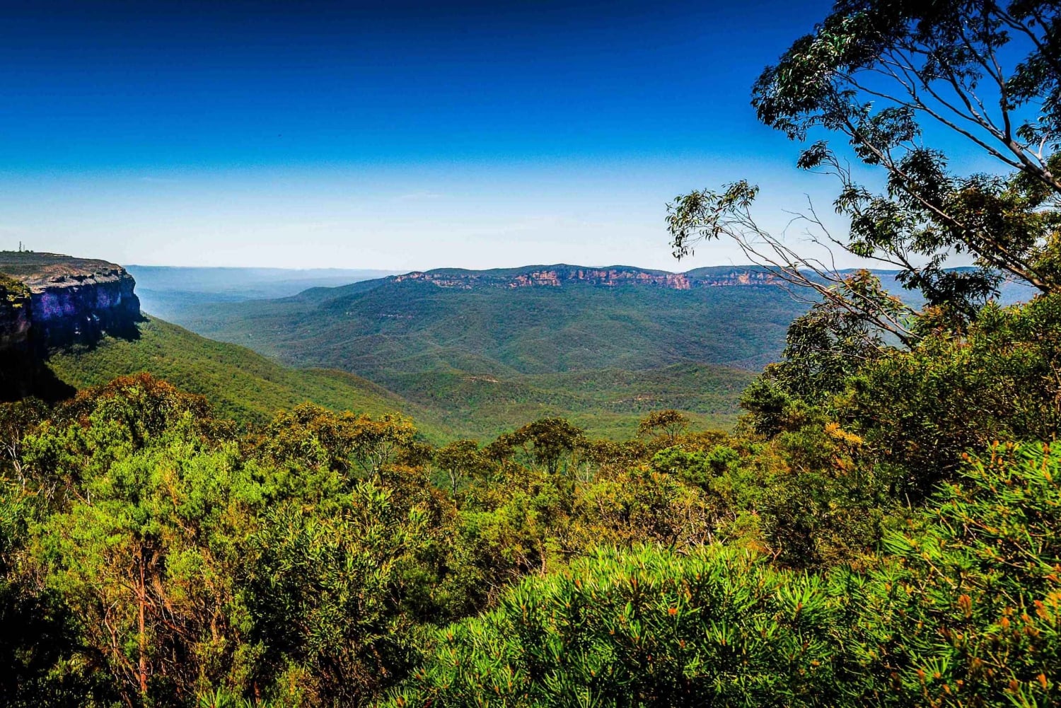 Vanuit Sydney: Blue Mountains Tour in kleine groep Picknick & Wandeling