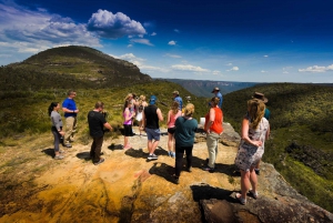 Fra Sydney: Blue Mountains - en lille gruppetur med picnic og vandretur