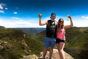 Vanuit Sydney: Blue Mountains Tour in kleine groep Picknick & Wandeling