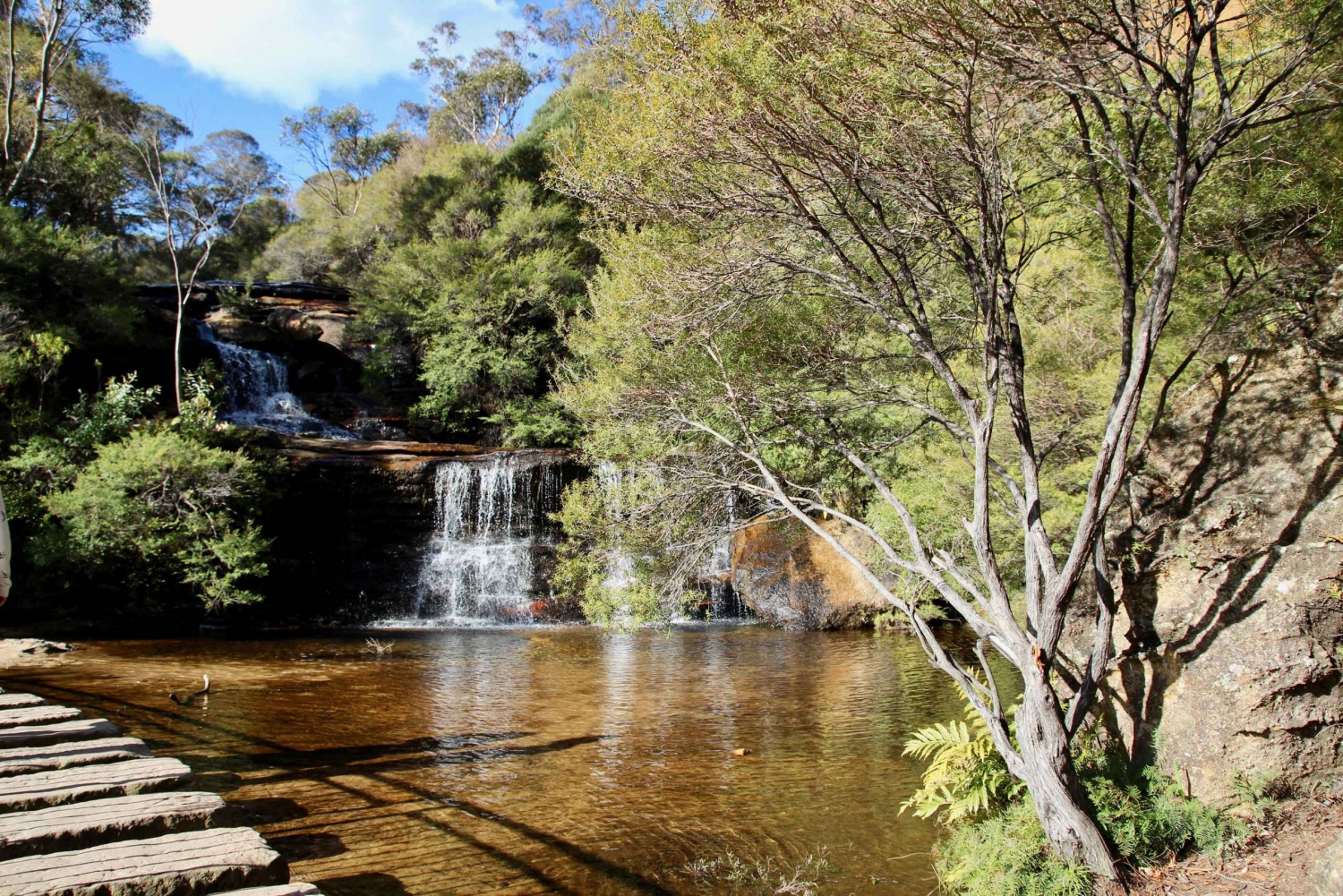 From Sydney: Blue Mountains, Sydney Zoo & Scenic World Tour
