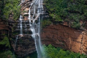 Fra Sydney: Blue Mountains, Sydney Zoo og Scenic World Tour