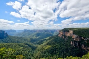 Fra Sydney: Blue Mountains, Sydney dyrepark og Scenic World Tour