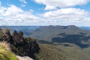 Desde Sydney: Montañas Azules, Zoo de Sídney y Recorrido por el Mundo Escénico