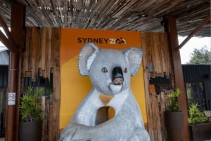 Vanuit Sydney: Blue Mountains, Sydney Zoo & Wandeltour