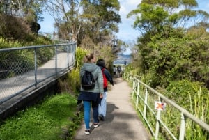 Z Sydney: Góry Błękitne, Zoo w Sydney i wycieczka piesza