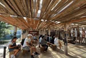 Z Sydney: Góry Błękitne, Zoo w Sydney i wycieczka piesza