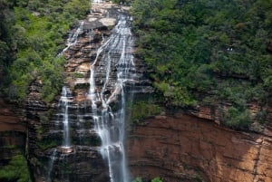 Z Sydney: Góry Błękitne, Zoo w Sydney i wycieczka piesza