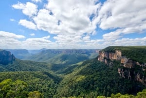 Z Sydney: Góry Błękitne, Zoo w Sydney i wycieczka piesza
