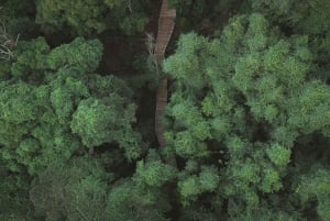 Z Sydney: Góry Błękitne, Zoo w Sydney i wycieczka piesza