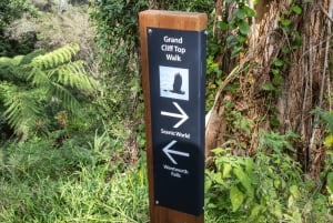 Z Sydney: Góry Błękitne, Zoo w Sydney i wycieczka piesza