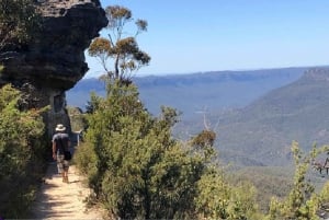 From Sydney:Blue Mountains Tour, Hike, Sydney Zoo & Ferry