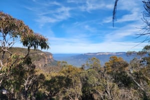 Au départ de Sydney : Visite à pied des Montagnes Bleues avec promenade dans les cascades et déjeuner.