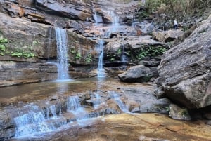 From Sydney: Blue Mountains Tour with Waterfall Walk & Lunch