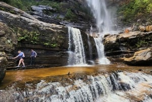 Vanuit Sydney: Blue Mountains Tour met watervalwandeling & lunch