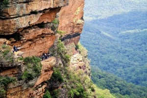 Vanuit Sydney: Blue Mountains Tour met watervalwandeling & lunch