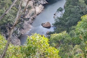 Vanuit Sydney: Blue Mountains Tour met watervalwandeling & lunch