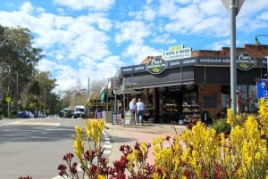 Vanuit Sydney: Blue Mountains Tour met watervalwandeling & lunch