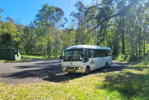Vanuit Sydney: Blue Mountains Tour met watervalwandeling & lunch