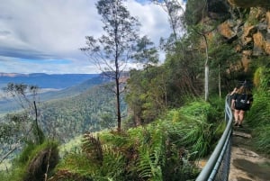 Vanuit Sydney: Blue Mountains Tour met watervalwandeling & lunch