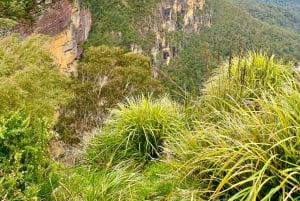 Vanuit Sydney: Blue Mountains Tour met watervalwandeling & lunch