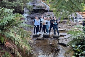 Au départ de Sydney : Excursion d'une journée aux Montagnes Bleues et à Featherdale