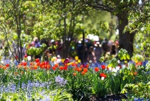 Fra Sydney: Canberra City Highlights og Floriade Day Tour
