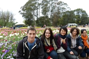 Au départ de Sydney : Visite de la ville de Canberra et excursion d'une journée à la Floriade