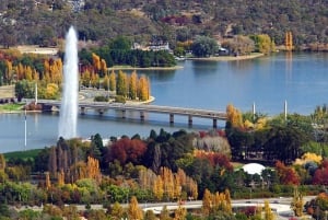 Da Sydney: esplora Canberra con pranzo a buffet incluso