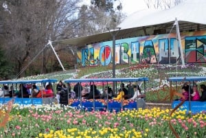 Da Sydney: esplora Canberra con pranzo a buffet incluso