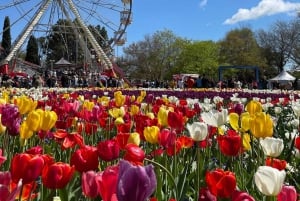Da Sydney: esplora Canberra con pranzo a buffet incluso