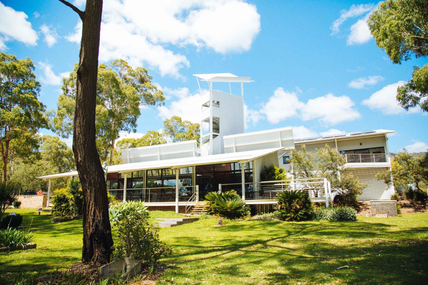 From Sydney: Full-Day Hunter Valley Tour w/ Tastings & Lunch