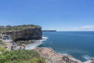 From Sydney: Full Day Tour of Golden Beaches and Ocean Vista