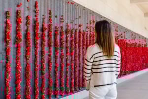 Sydneystä: Kokopäiväretki Canberran