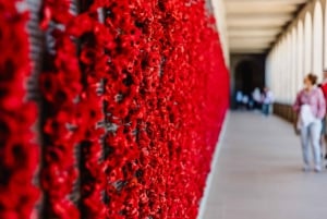 Sydneystä: Kokopäiväretki Canberran