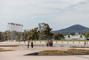 Sydneystä: Kokopäiväretki Canberran