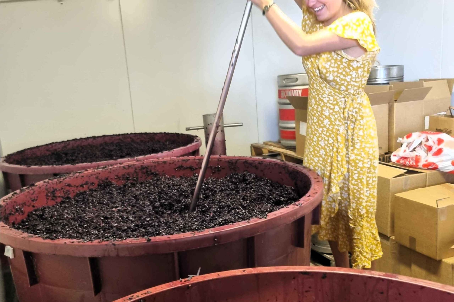 Da Sydney: Tour di gruppo della Hunter Valley con birra e vino